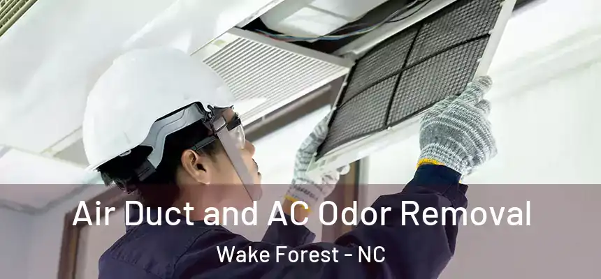 Air Duct and AC Odor Removal Wake Forest - NC