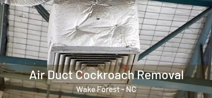 Air Duct Cockroach Removal Wake Forest - NC
