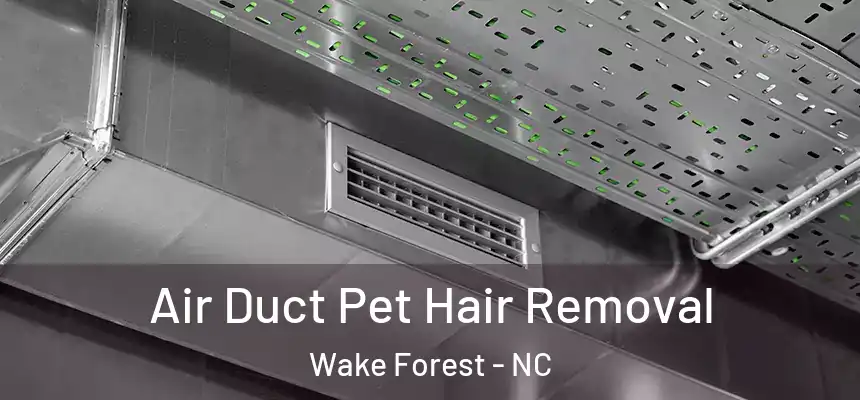 Air Duct Pet Hair Removal Wake Forest - NC
