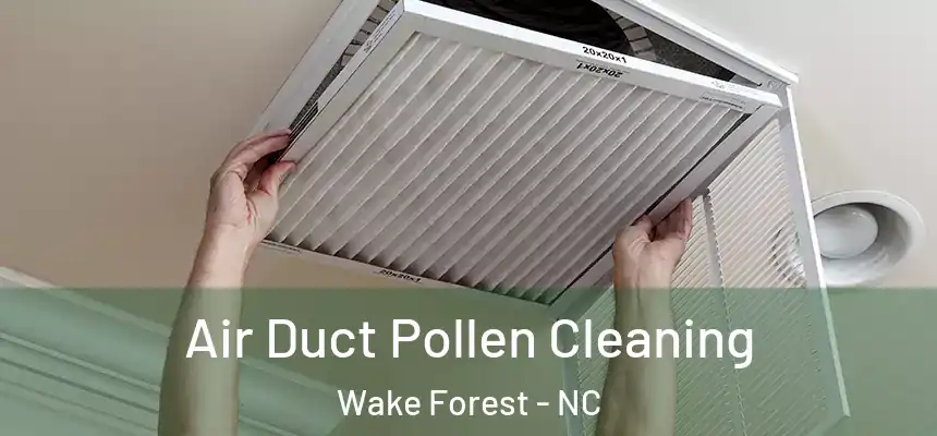 Air Duct Pollen Cleaning Wake Forest - NC