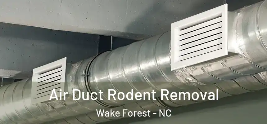 Air Duct Rodent Removal Wake Forest - NC