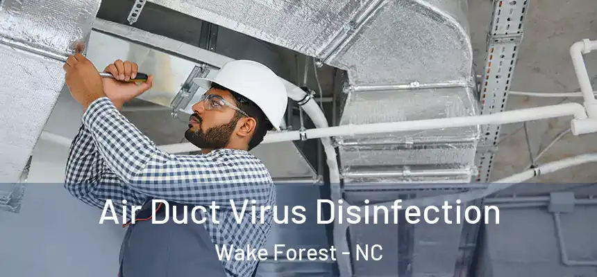 Air Duct Virus Disinfection Wake Forest - NC