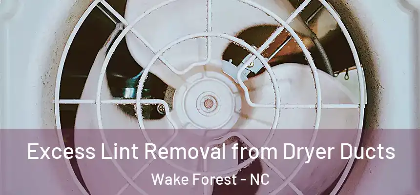 Excess Lint Removal from Dryer Ducts Wake Forest - NC