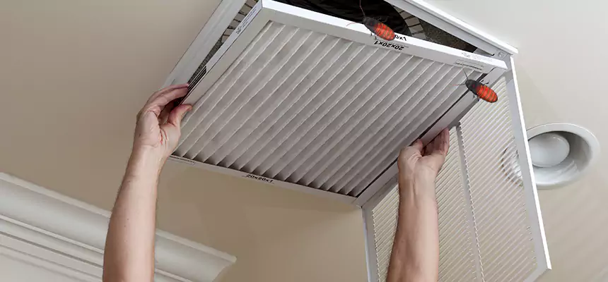 Preventive Cockroach-Proofing for Ducts in Wake Forest