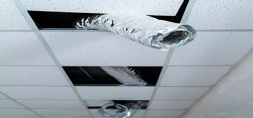 Affordable HVAC Sanitizing After Pest Removal in Wake Forest