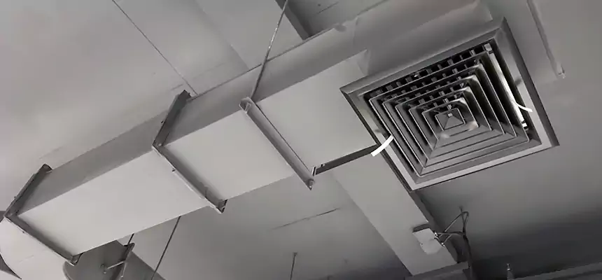 Restorative Allergy Relief Vent Cleaning – Coil, Blower & Housing Detail in Wake Forest