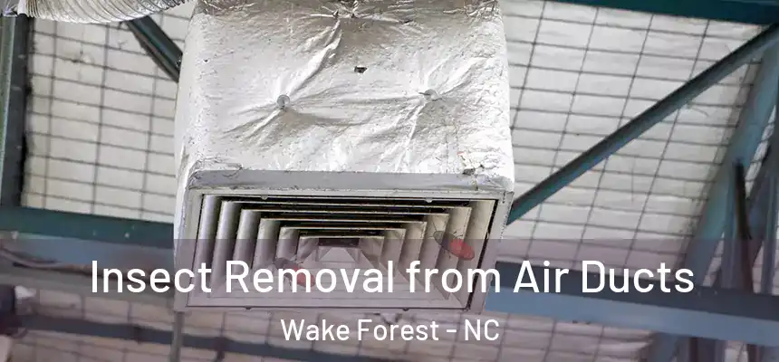 Insect Removal from Air Ducts Wake Forest - NC