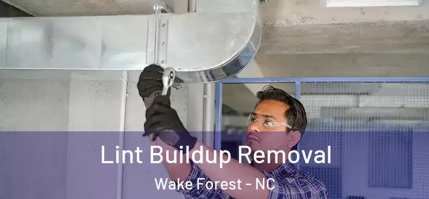  Lint Buildup Removal Wake Forest - NC