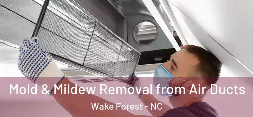 Mold & Mildew Removal from Air Ducts Wake Forest - NC