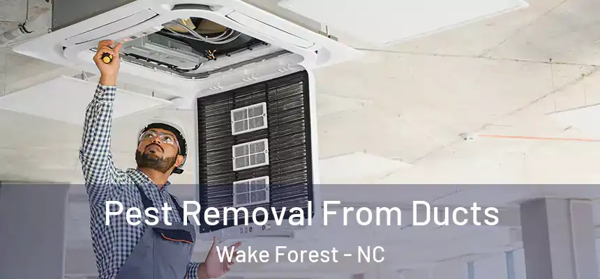 Pest Removal From Ducts Wake Forest - NC