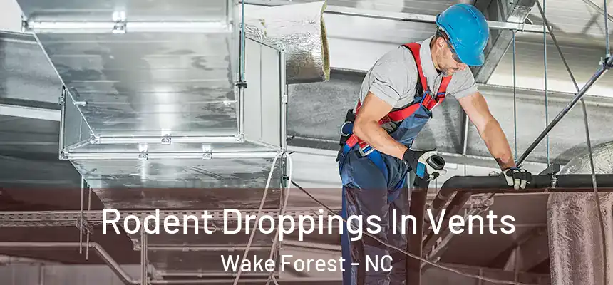 Rodent Droppings In Vents Wake Forest - NC