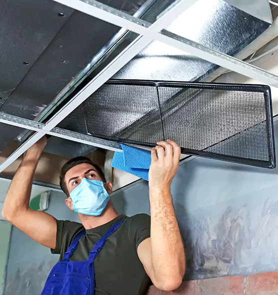 About Air Duct Bacteria Removal in Wake Forest