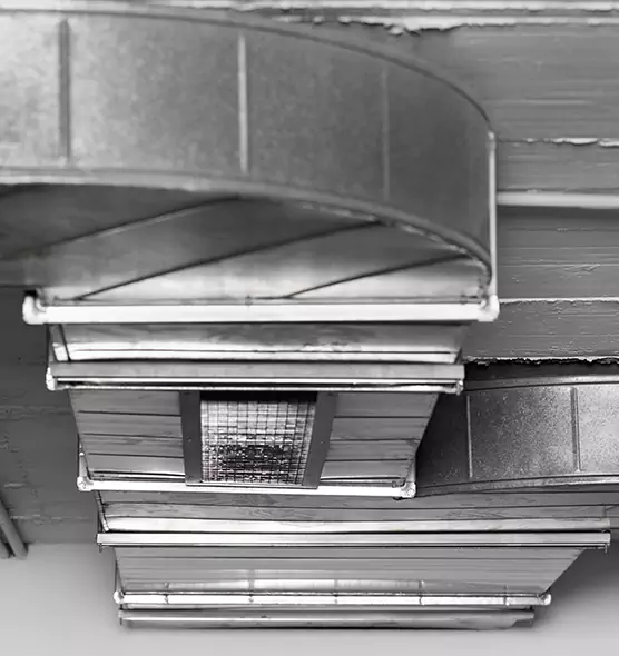 Professional Air Duct Pet Hair Removal in Wake Forest, NC