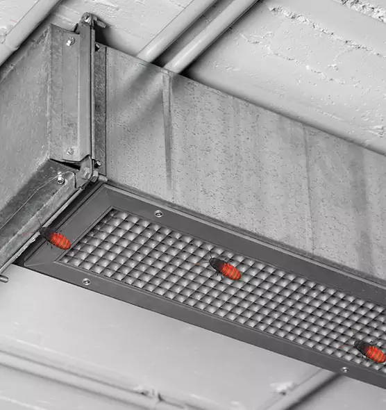 Affordable Insect Removal from Air Ducts in Wake Forest, NC