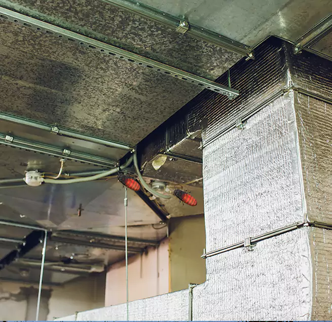 Why Homeowners & Businesses Trust Us in Wake Forest, NC?