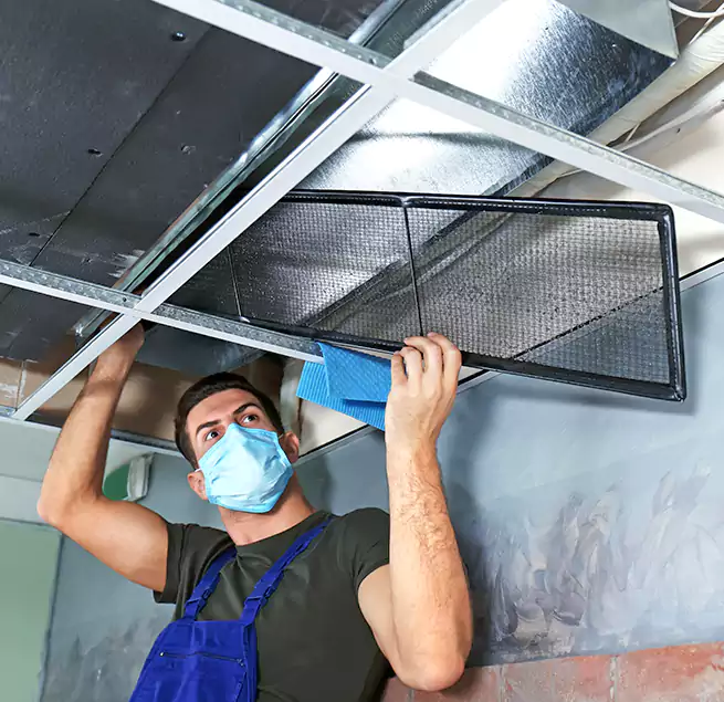 Why Homeowners Businesses Trust Us in Wake Forest, NC