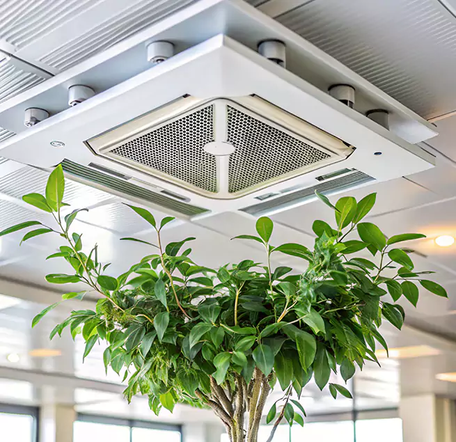 Why Homeowners & Businesses Trust Us in Wake Forest, NC?